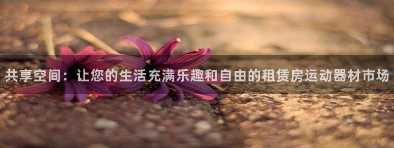 意昂体育4是干嘛的公司:共享空间:让您的生活充满乐趣和自由的