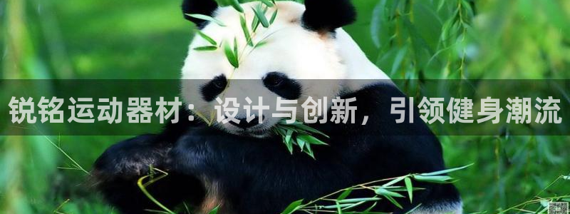 意昂4开户:锐铭运动器材:设计与创新,引领健身潮流