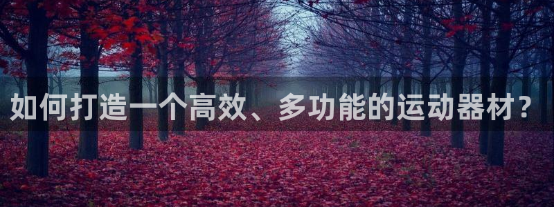 意昂体育4是干嘛的公司:如何打造一个高效、多功能的运动器材?